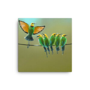 Rainbow Bee Eaters Canvas